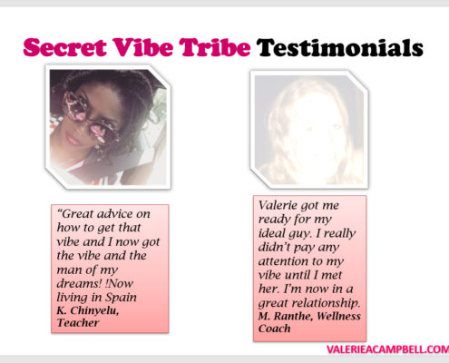 Secret Vibe Tribe Testimonials